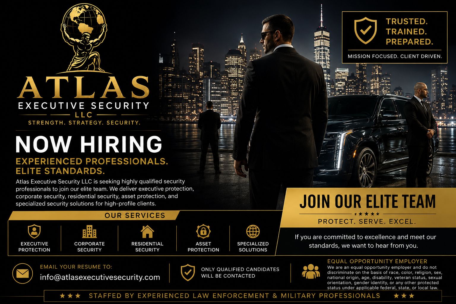Security Professionals